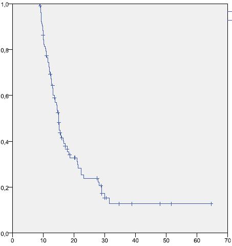 PFS Estimate OS Estimate AVALON: bevacizumab long survivals Progression Free Survival Overall Survival Median PFS: 15 m (95% CI:14-16) Median OS: 31