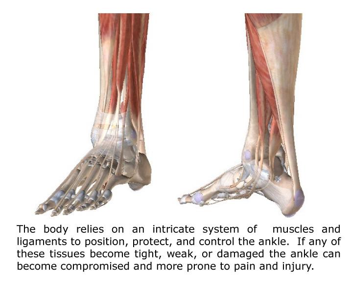 While there are many different ankle conditions almost every case of ankle pain shares a common underlying cause.