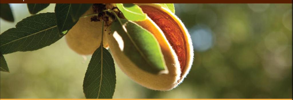 The Chemistry of Almond Quality Understanding Rancidity Development Alyson Mitchell PhD, Food Science
