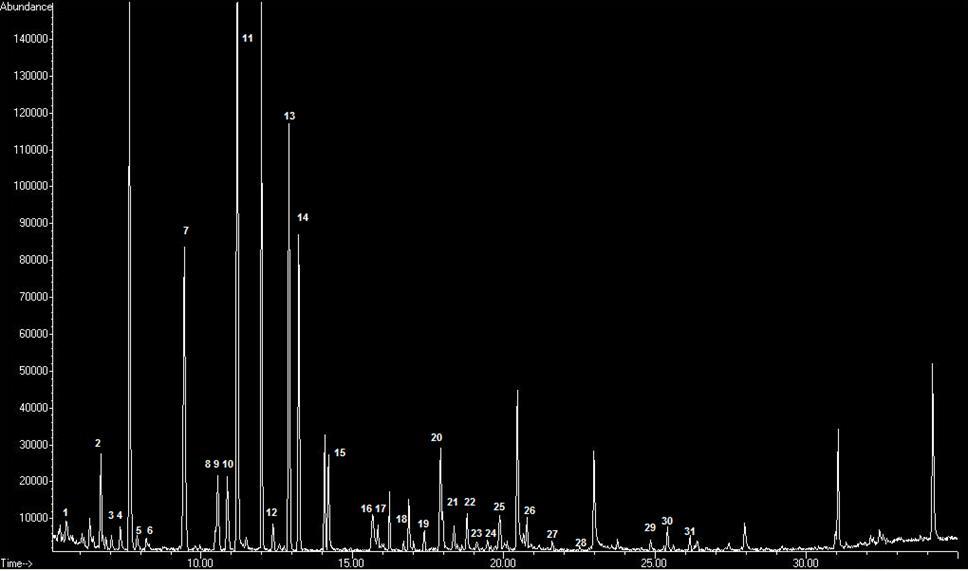 GC Chromatogram of Almond Volatiles Peak Identification: GC/MS Comparison of mass spectra and t R with