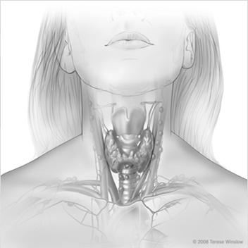 clinically or pathologically, code 000 SSF3: Levels I III SSF7: Upper and Lower Cervical Node Levels Upper Cervical Nodes Level I, II, III, VA Facial, Parotid,