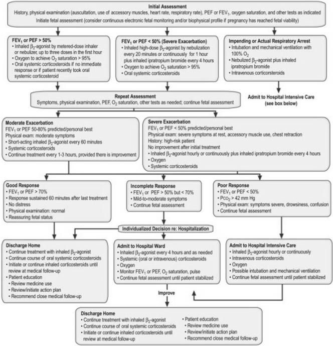 Figure 58-1 National Asthma Education and Prevention Program (NAEPP) recommendations for management of asthma exacerbations: emergency department and hospitalbased care.