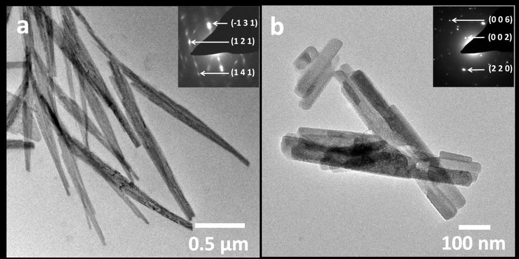 Figure S5: TEM images of calcium sulfate crystals precipitated in the presence of 50 µg/ml PAA after 1