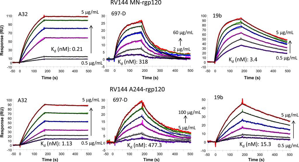 Alam et al. FIG 2 Binding of C1, V2, and V3 antibodies to RV144 immunogen gp120 proteins. RV144 Env proteins MN-rgp120 and A244-rgp120 binding at various concentrations (0.5, 1.0, 2.0, 3.0, 4.