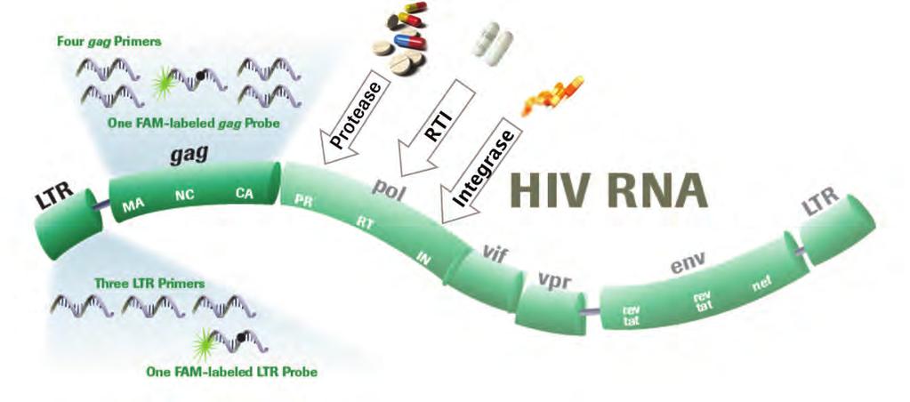 Comparative RNA quantification of HIV-1 Group M and non-m with the Roche Cobas AmpliPrep/Cobas TaqMan HIV-1 v2.0 and Abbott Real-Time HIV-1 PCR assays. J Acquir Immune Defic Syndr. 2001; 56: 239-243.