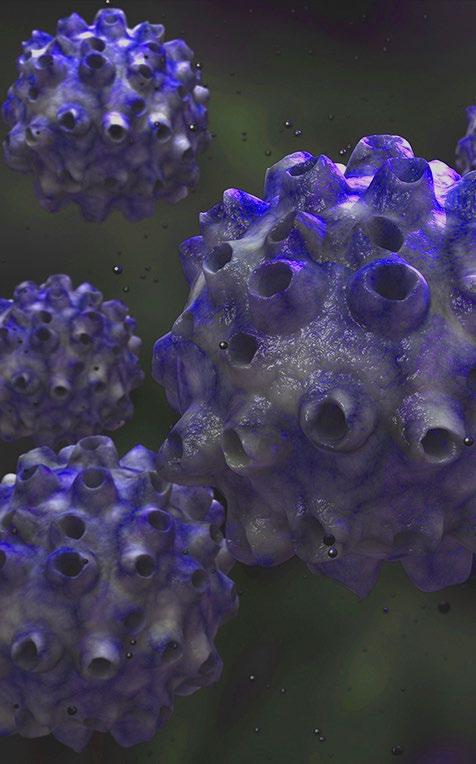 Human Papillomavirus Is a small DNA virus Infec