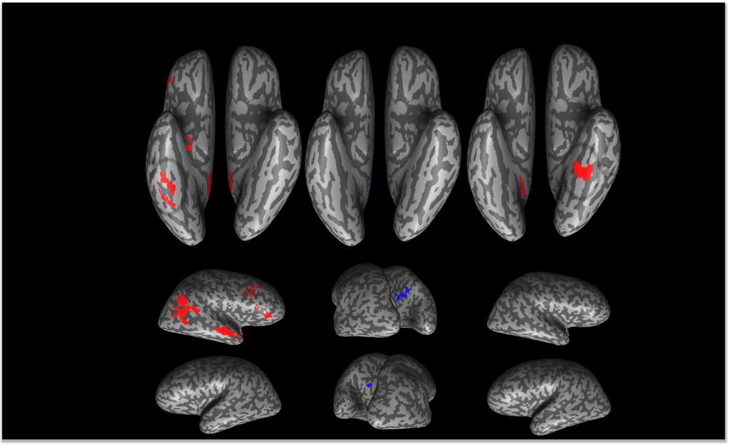 60 K.S. Scherf et al. / NeuroImage: Clinical 7 (2015) 53 67 a.) Faces b.) c.) 1.5 1.0 0.