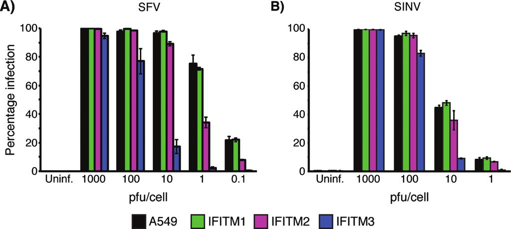 Weston et al. Figure 1: Alphavirus infection is inhibited by IFITM proteins.
