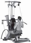 Back Exercises Seated Lat Rows Shoulder Extension (and elbow flexion) Latissimus Dorsi; Teres Major; Rear Deltoids; Biceps Seated on the floor facing machine Squat Pulley Frame Keep knees bent and