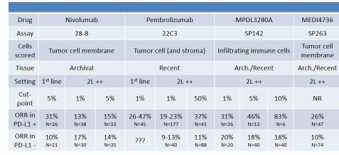 What is a PDL1 positive tumor?