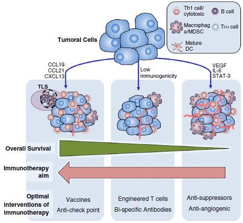 Cancer immune contexture scenarios and personalized medicine for