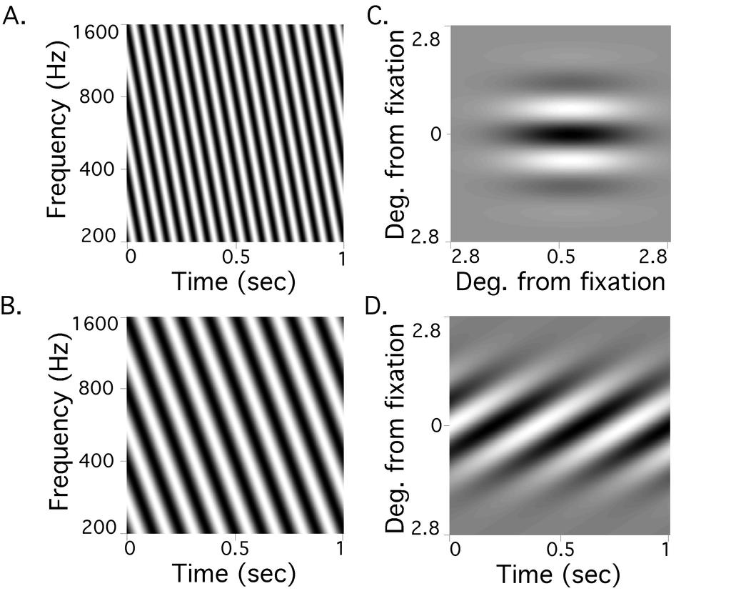 Figure 1: A. and B. Spectro-temporal plots of two auditory moving ripple stimuli. The horizontal axis shows time in seconds; the vertical axis shows frequency content in Hertz.