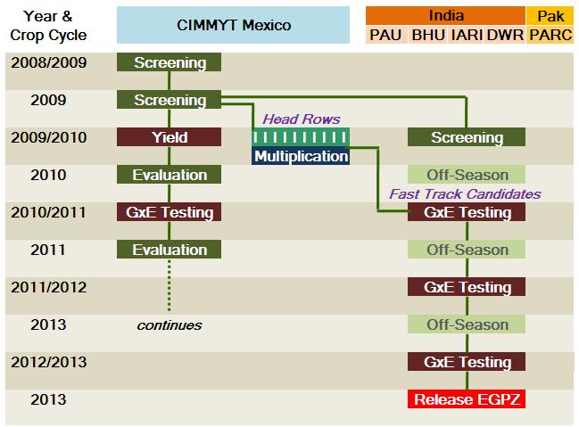 Biofortification Timeline: Wheat Southeast Asia HarvestPlus c/o IFPRI 2033 K Street, NW