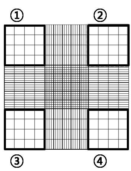 Areas to be scored on a haemocytometer For cells on borders, score those in solid lines and those on dotted lines (the bottom horizontal line and the