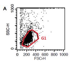 3.10. 2 Analysis of flow cytometric results (1) Forward scatter-side scatter (FSC-SSC) graph 1) Both the X (FSC) and Y (SSC) axes are on a linear scale (graph A).