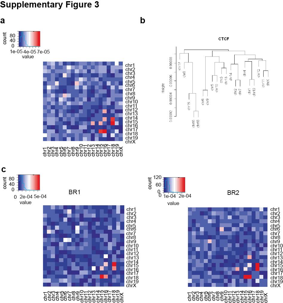 Supplementary Figure 3. Clustering of inter-chromosomal interactions. (a) Normalized inter-chromosomal interaction frequency matrix between different chromosome pairs.