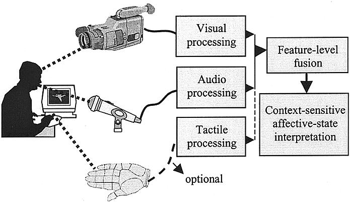 Fig. 1. Architecture of an ideal automatic analyzer of human affective feedback. the reported research does not confirm this finding.