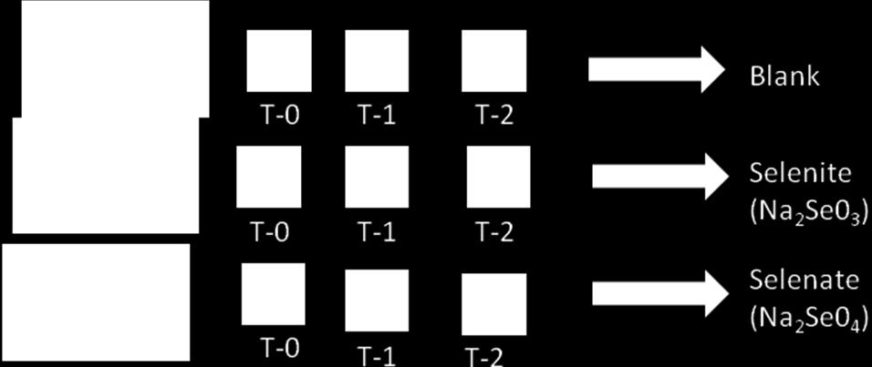 Figure 3.1. Experimental set up. In Figure 3.1, A, B and C represent the 1 kg sampling pots, while the pots labelled with T-0, T-1 and T-2 represent the 0.