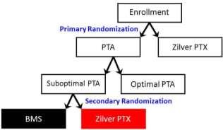 RCT: 5-year Primary Patency (PSVR < 2.0) Provisional Zilver PTX vs. BMS Provisional 72.4% Zilver PTX p = 0.