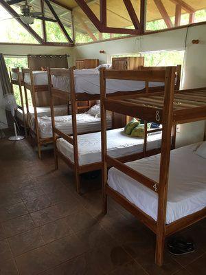 The bunk room is an open concept hostel-style space with bunk beds, a nice kitchen, shared bathrooms and shower facilities, three