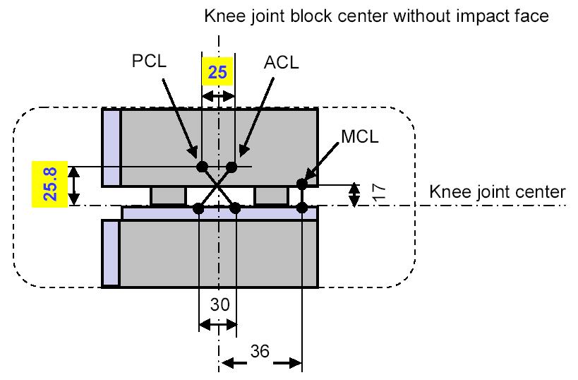 knee shear displacement of the 50th male The knee shear displacement can be transformed to FlexPLI ACL /PCL