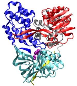 HCV Drug in Development Viral targets C E1 E2 p7 NS2 NS3