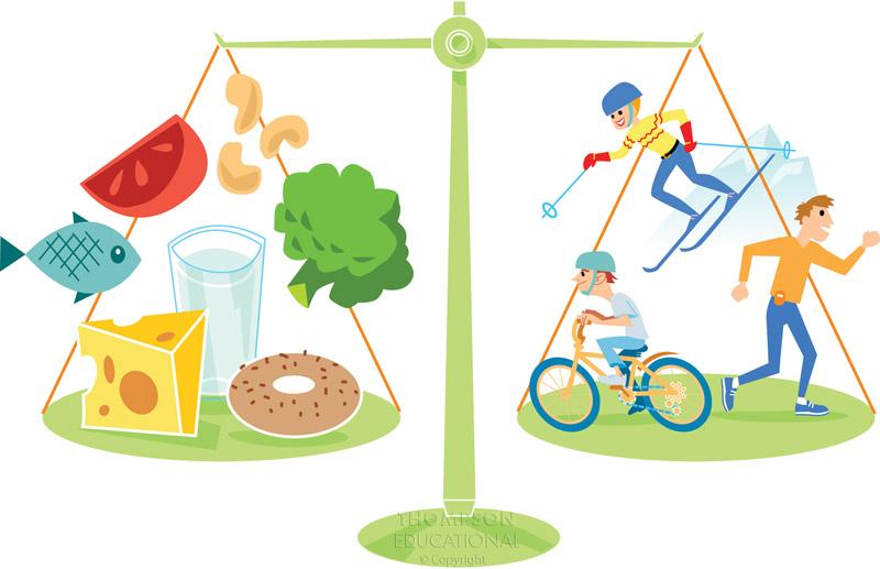 The Energy Equation Energy equation: the food (or energy) we take in should