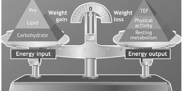 General Principles of Weight Management Caloric/Energy Balance = caloric intake caloric expenditure Positive Caloric/Energy Balance Caloric Intake >