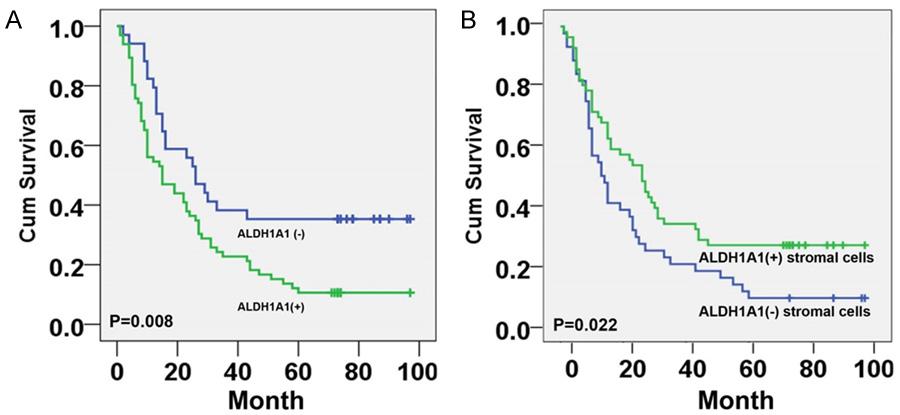 Figure 2. Survival curves for esophageal cancer using the Kaplan-Meier method and the log-rank test. A.