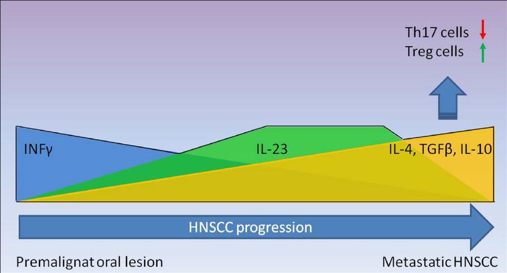 T cell modulation in HNSCC Th1 ------------------------------> Th17------------------------> Th2 CCR4+ CTLA-4+