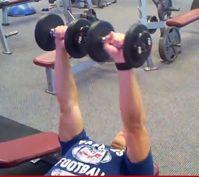 Workout D Alternating DB Chest Press Hold both dumbbells above