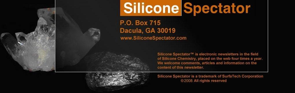 Silicone Surfactants Editors Note: This edition of The Silicone Spectator will begin to address polymeric materials derived from silicone that have a at least two groups that in pure form are