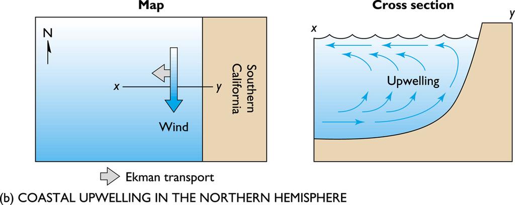 Coastal Upwelling in the Northern Hemishpere thermocline acts a a