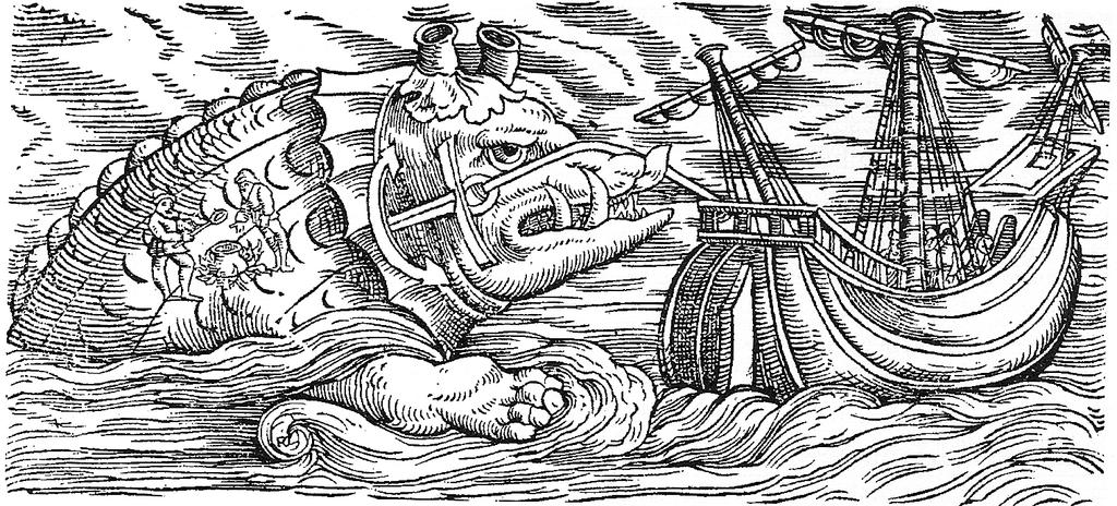 whales, baleen whales Konrad Gesner (1516-1565)
