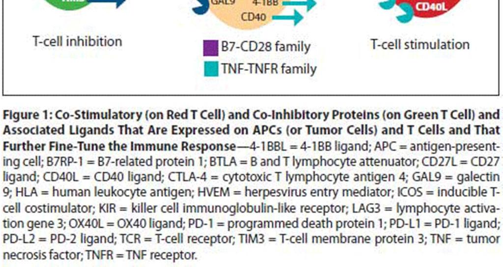 cells DCVax mobilizes diverse T cell populations against diverse tumor antigens (targets) Source: Allison, J. (2014).
