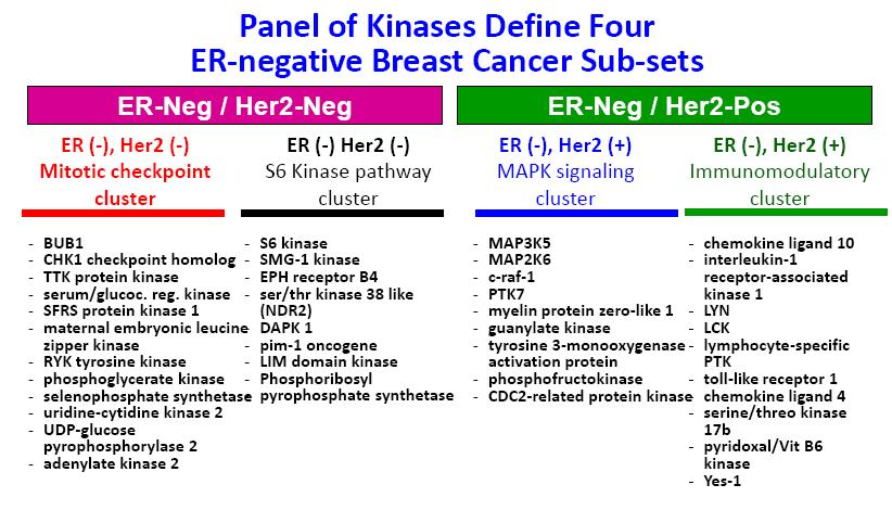 ER-Negative Breast Cancer New subclassificatin scheme fr ERnegative breast cancer based upn kinmewide gene
