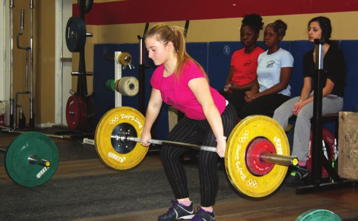 The weekly training cycle represents the basic core of weightlifting training.