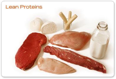 Functions of Proteins Each protein has a specific role. 1.