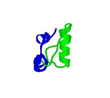 green chain two short helices in blue