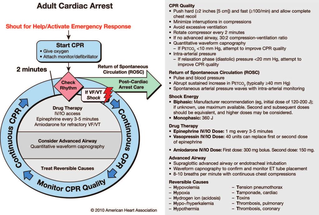 Neumar et al Part 8: Adult Advanced Cardiovascular Life Support S737 recommended as considerations and should be performed without compromising quality of CPR or timely defibrillation.