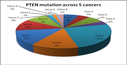 Based on Graphical results we found that Missense mutation was most prominent across cancers followed by Deletion (Fig 5).