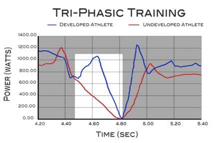 Methodology: Tri-Phasic Training Cont. Eccentric Phase This is the deceleration or lowering portion of the movement. It is associated with muscle lengthening.