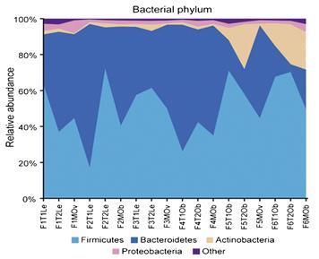 Amplicon yield Backhed, Cell Host & Microbes, 2012