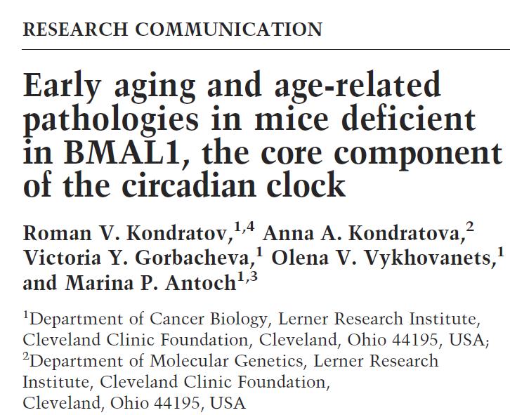 Mice deficient in the circadian transcription factor BMAL1 Reduced lifespan Display various symptoms of premature aging