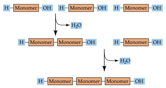 water is removed a covalent