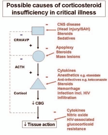 Adrenal Insufficiency Fig 1. Possible causes of corticosteroid insufficiency in critical illness.