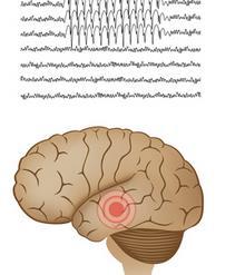 Focal Epilepsy/Focal Seizures Focal epilepsy occurs when a portion of the brain is/becomes electrically unstable and acts as a point of seizure onset Not a mild form of