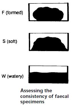 l) CONSISTENCY -Liquid (Troph) -Formed (Cyst) -Semi formed