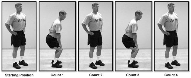 Modified Squat Bender (RED-LOW BACK only) Cadence: Slow Start position: Straddle stance, hands on hips, abdominal muscles braced Count: 1.