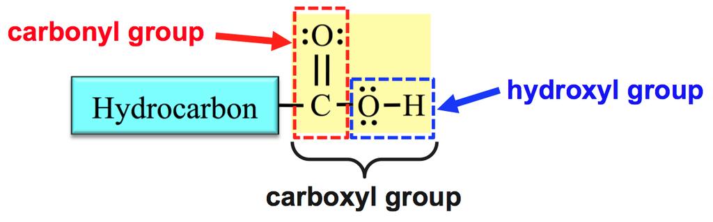 The Structure of Carboxylic Acids Prelab 6: Carboxylic Acids Carboxylic acids contain a carboxyl functional group attached to a hydrocarbon (alkyl group) part.